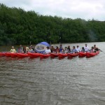 Kayak Tour