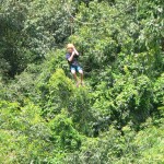 Zip Line